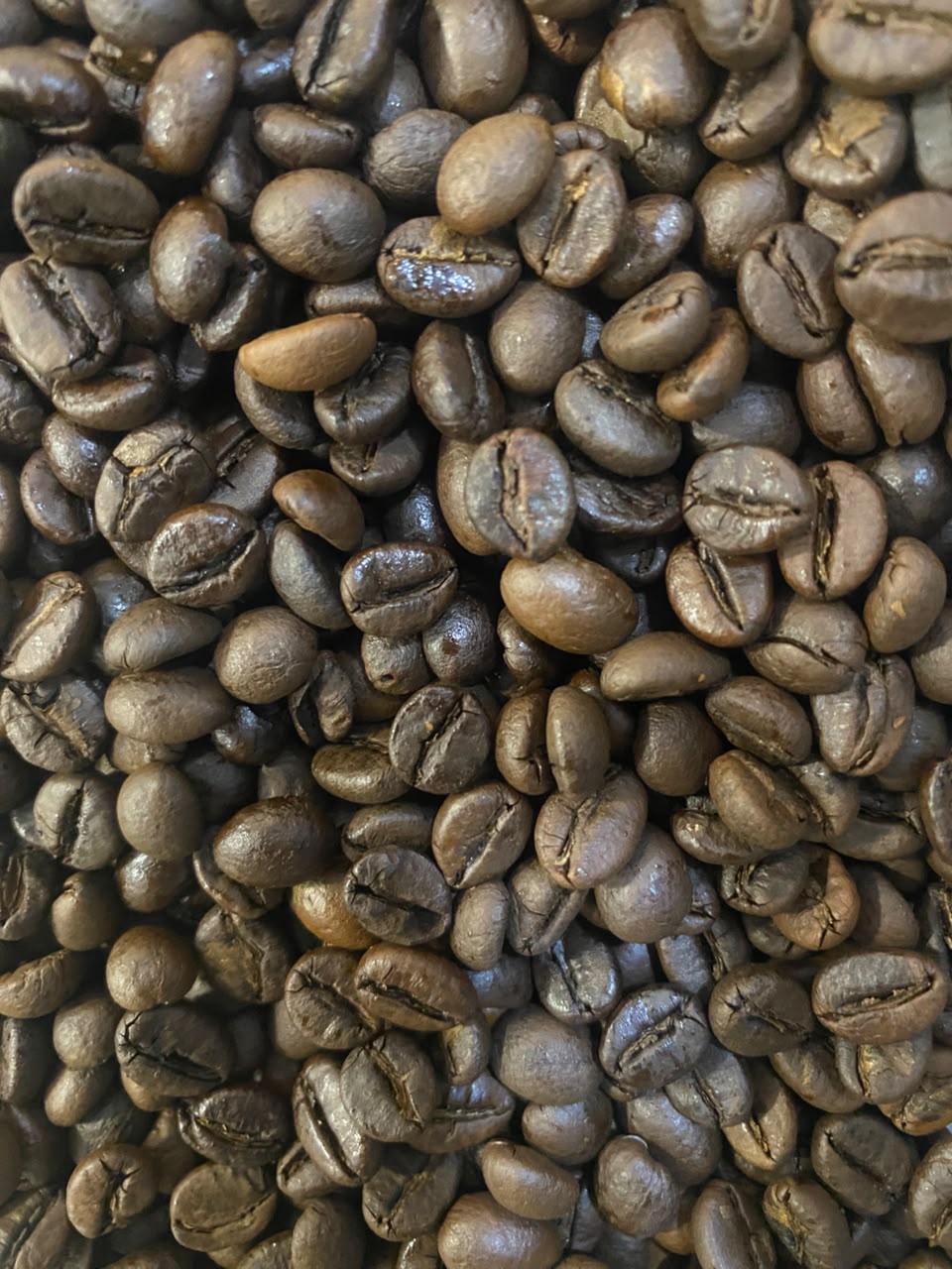 Roasted Coffee Beans - 100% Robusta